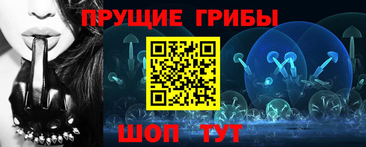 Псилоцибиновые грибы MAGIC MUSHROOMS  Вход с VPN  Балашов 